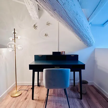 Apartment L'etoile - Duplex Cosy De 50m2 En Centre-ville